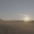 Thumbnail 16