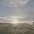 Thumbnail 15