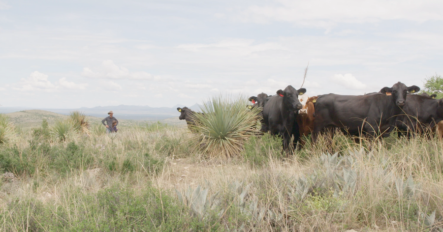 Rancho El Rosillo